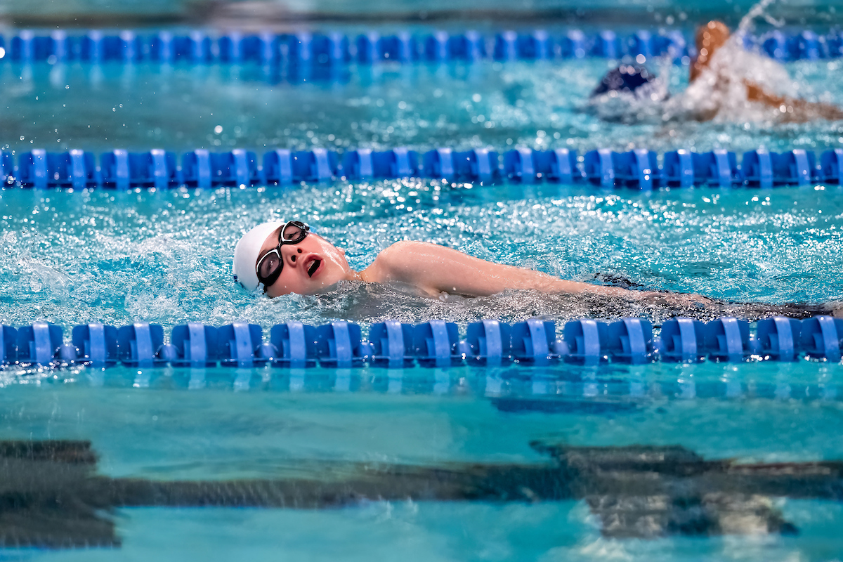 Swimmers in pool swimming freestyle