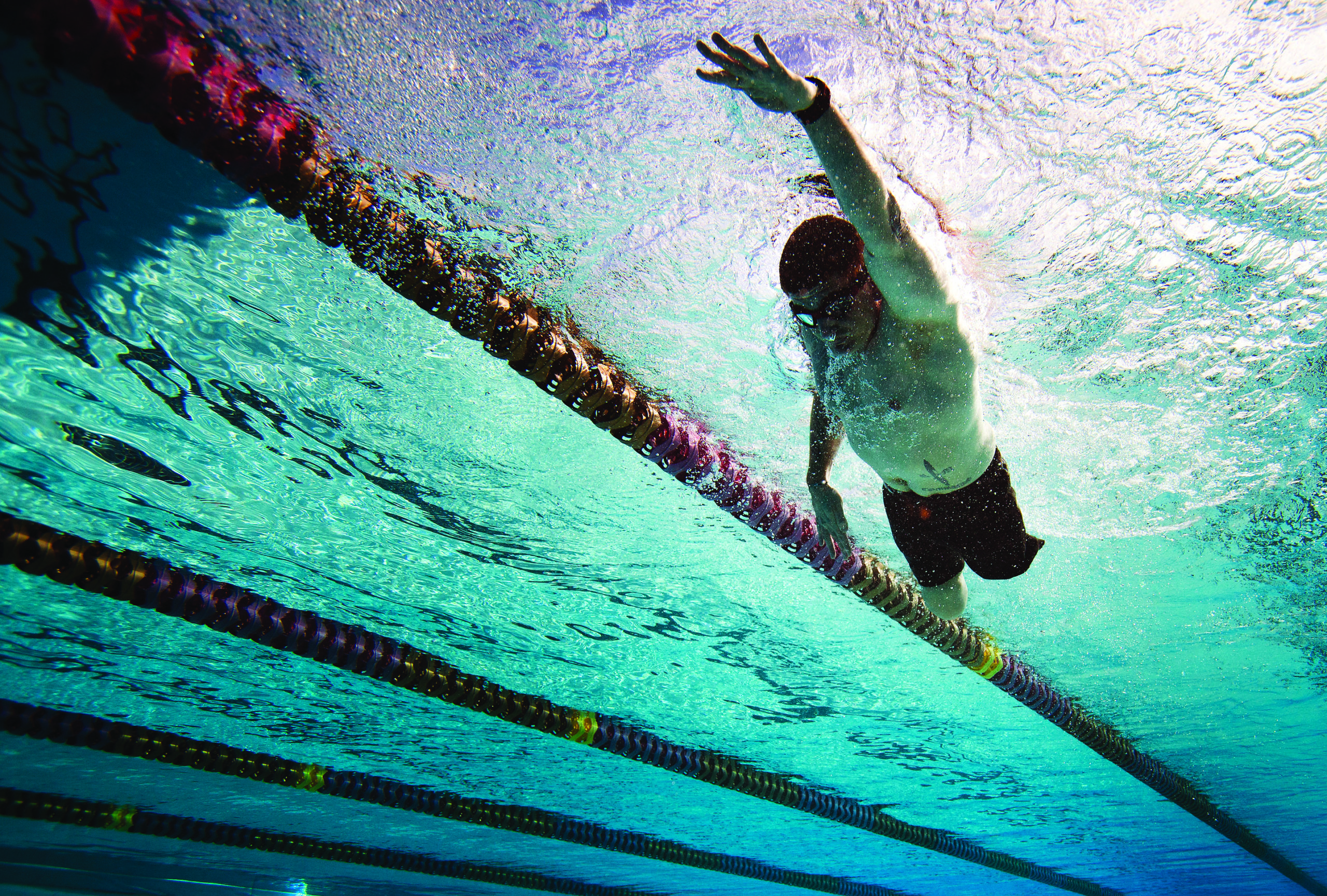 Male swimmer under the water in pool