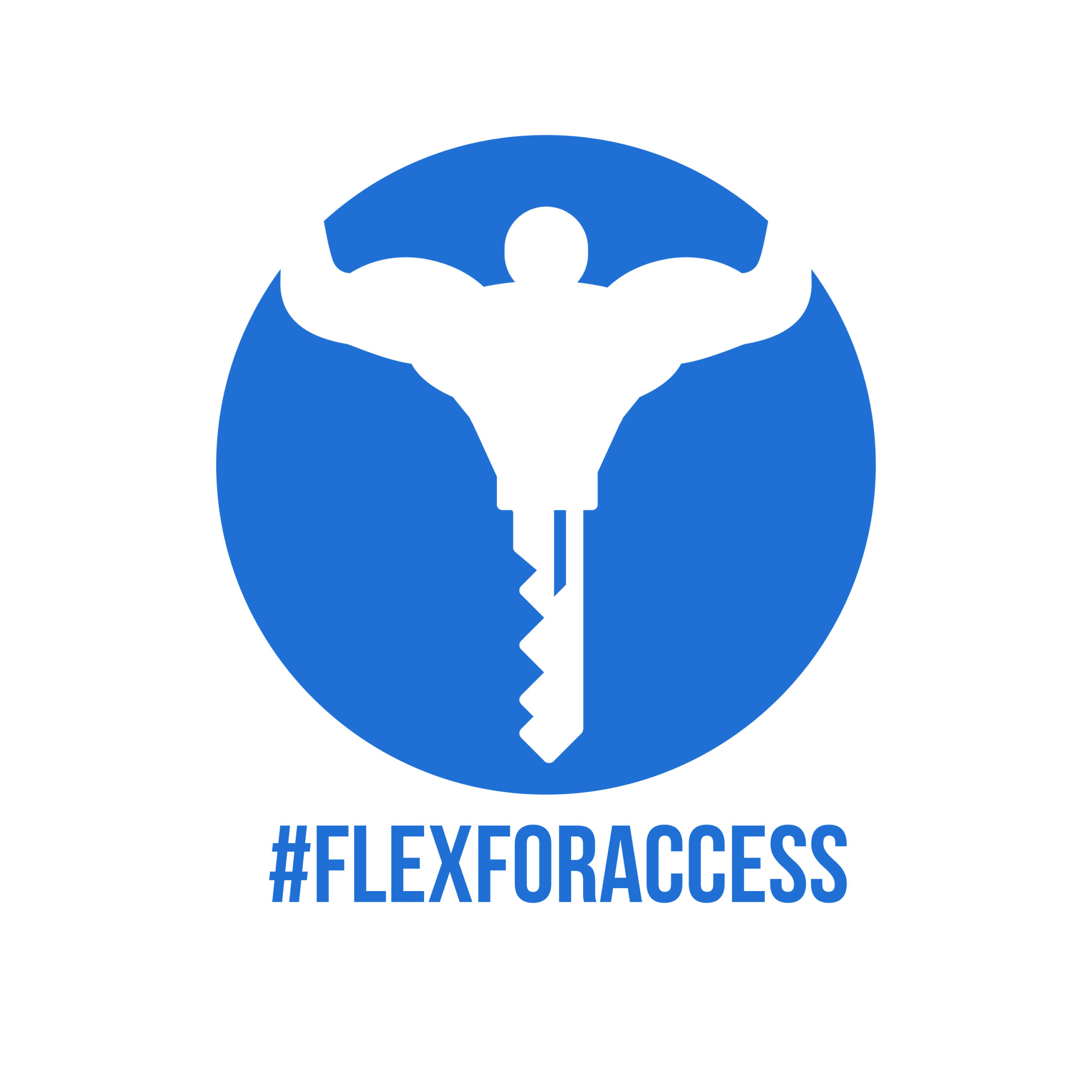 Flex for access logo