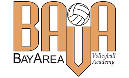 BAVA Beach ParaVolleyball logo