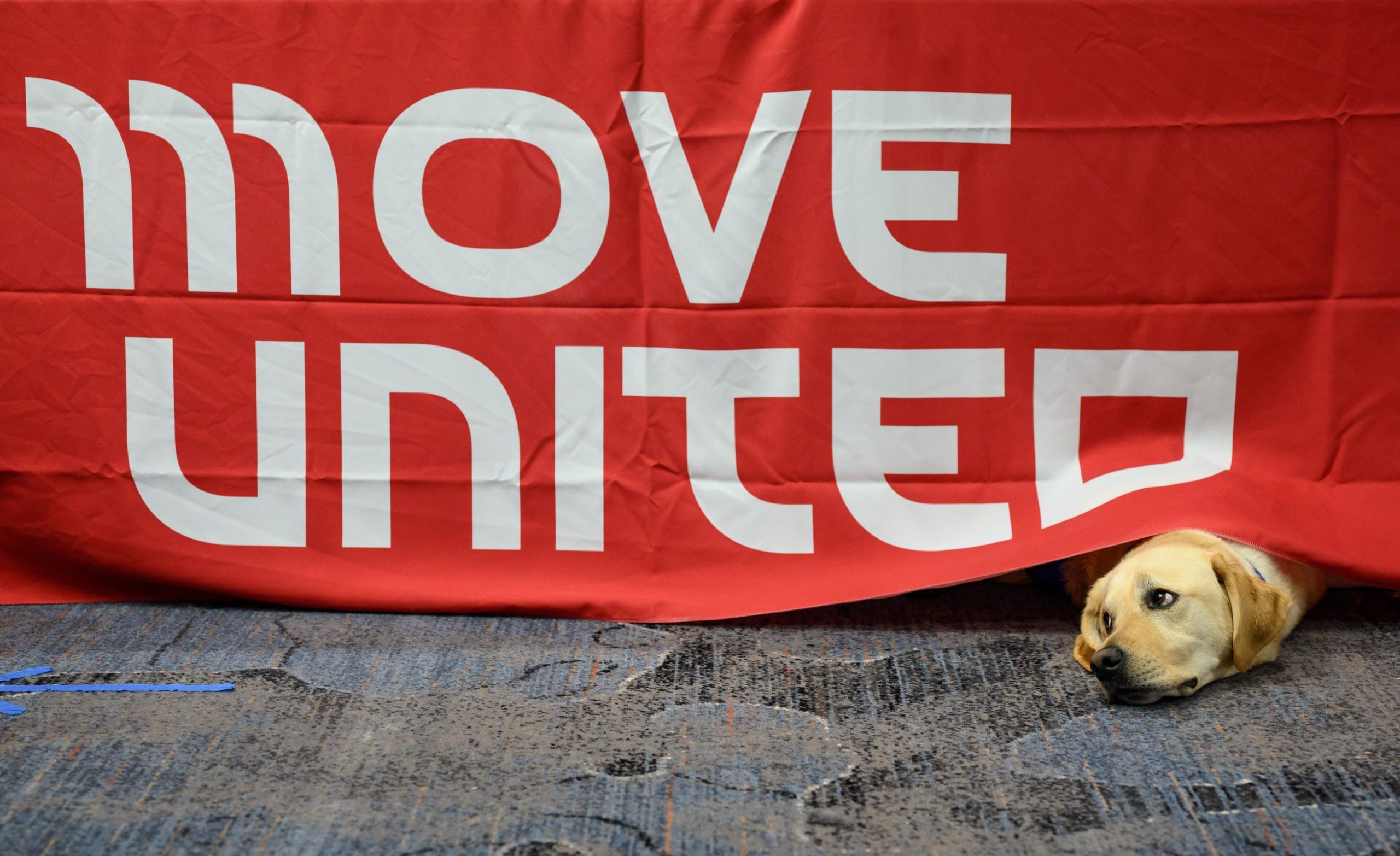 Adaptive Sports - Move United